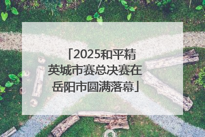 2025和平精英城市赛总决赛在岳阳市圆满落幕