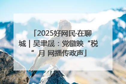 2025好网民·在聊城｜吴聿晟：党徽映“税”月 网播传政声