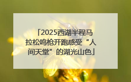 2025西湖半程马拉松鸣枪开跑感受“人间天堂”的湖光山色