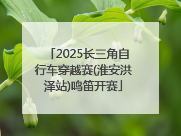2025长三角自行车穿越赛(淮安洪泽站)鸣笛开赛