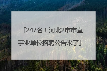 247名！河北2市市直事业单位招聘公告来了