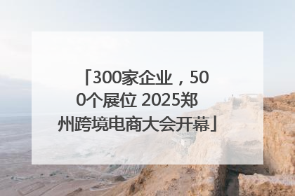 300家企业，500个展位 2025郑州跨境电商大会开幕
