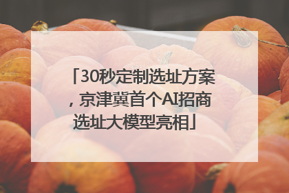 30秒定制选址方案，京津冀首个AI招商选址大模型亮相
