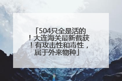 504只全是活的！大连海关最新截获！有攻击性和毒性，属于外来物种