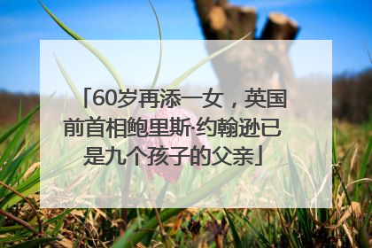 60岁再添一女，英国前首相鲍里斯·约翰逊已是九个孩子的父亲