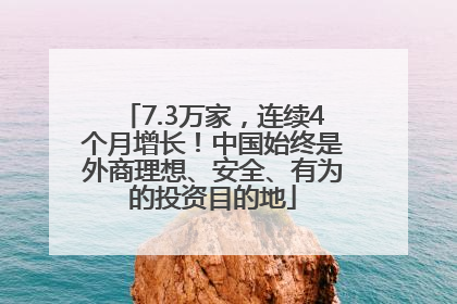 7.3万家，连续4个月增长！中国始终是外商理想、安全、有为的投资目的地