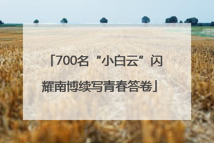 700名“小白云”闪耀南博续写青春答卷