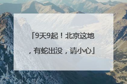 9天9起！北京这地，有蛇出没，请小心