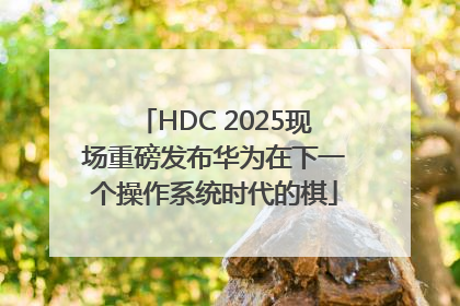 HDC 2025现场重磅发布华为在下一个操作系统时代的棋