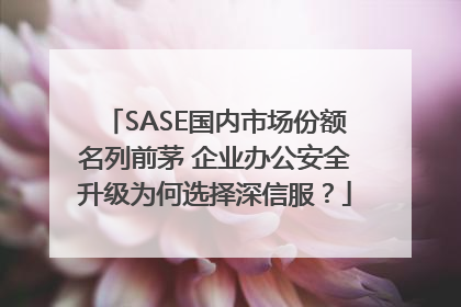 SASE国内市场份额名列前茅 企业办公安全升级为何选择深信服？